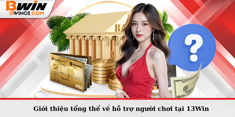 Giới thiệu tổng thể về hỗ trợ người chơi tại 13Win