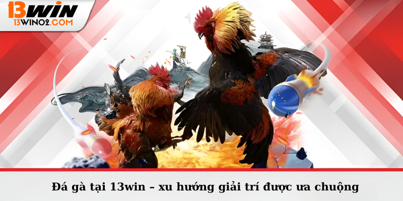 Đá gà tại 13win – xu hướng giải trí được ưa chuộng