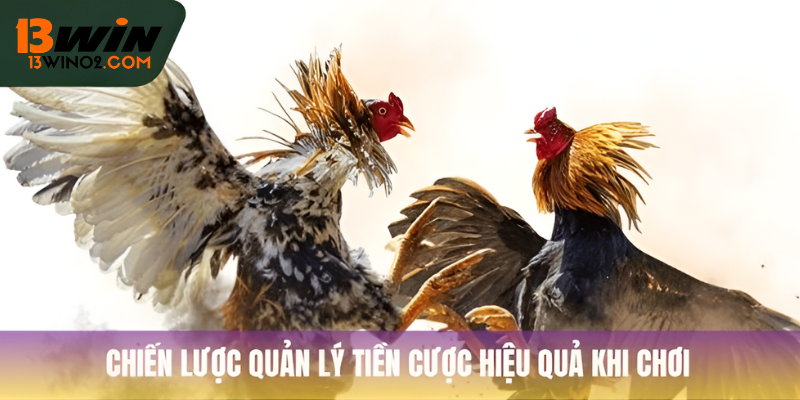 Chiến lược quản lý tiền cược hiệu quả khi chơi
