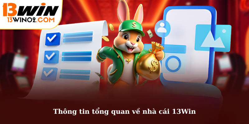 Thông tin tổng quan về nhà cái 13Win