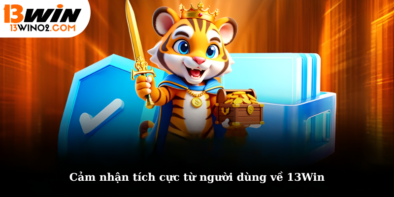 Cảm nhận tích cực từ người dùng về 13Win